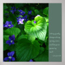 Suche nach zen garten poster Blume