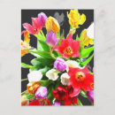 Suche nach frühlings blumen postkarten Tulpe
