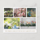 Suche nach garten postkarten Blume