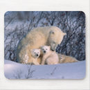 Suche nach mutter natur mousepads Umwelt