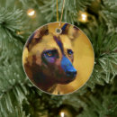 Suche nach afrikanische tiere ornamente Tierwelt