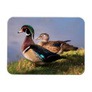 Suche nach franken magnete Usa