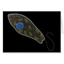 Suche nach mikroben postkarten Motilität