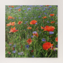 Suche nach mohn puzzle Blume