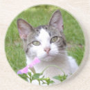 Suche nach weißer tiger untersetzer Kätzchen