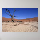 Suche nach toter baum poster Trocken