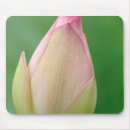 Suche nach sie extrem mousepads Blume