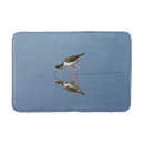 Suche nach zugvogel Tierwelt
