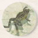 Suche nach frösche untersetzer Grün