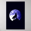 Suche nach heulender wolf poster Wölfe