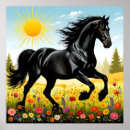 Suche nach schwarzes pferd poster Natur
