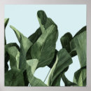 Suche nach palme poster Tropisch