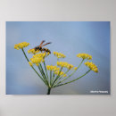 Suche nach wespe poster Natur