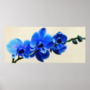 Suche nach mit orchideen poster Blumen