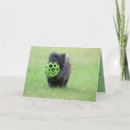 Suche nach cairns karten Cairn terrier