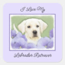 Suche nach labrador retriever aufkleber Niedlich