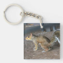 Suche nach rotes eichhörnchen schlüsselanhänger Tierwelt