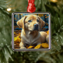 Suche nach herbstlaub ornamente Rückgang