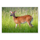 Suche nach sportler karten Dad