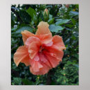 Suche nach blume foto poster Blumenfotografie
