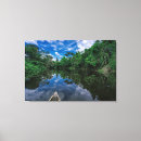 Suche nach tropischer regenwald leinwandbilder Natur