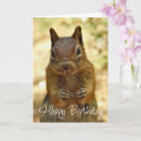 Suche nach eichhörnchen geburtstag karten Tier
