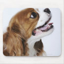 Suche nach king mousepads Hund