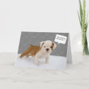 Suche nach fokus alle karten Hund