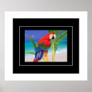 Suche nach vogel fotodruck Fotodrucke