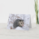 Suche nach lustige opossum karten Schnee