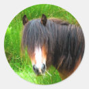 Suche nach ponys aufkleber Tiere