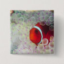 Suche nach tauchen buttons Fisch