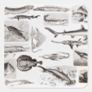 Suche nach zoologie aufkleber Biologie