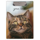 Suche nach katzen klemmbrett Tier