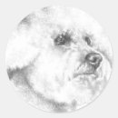 Suche nach reinrassig aufkleber Hunde