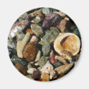 Suche nach muscheln magnete Natur