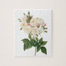 Suche nach vintage rosen puzzle Natur