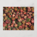 Suche nach rott postkarten Faul