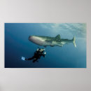 Suche nach abdeckung poster Natur