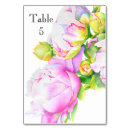 Suche nach malerei tischkarten Rose