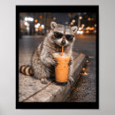 Suche nach lustiger waschbär poster Mode trend