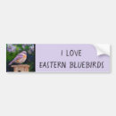 Suche nach easter autoaufkleber Wildvogel