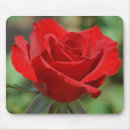 Suche nach zerbrechlich mousepads Blume