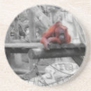 Suche nach orang utans untersetzer Wildtiere