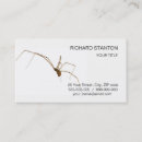 Suche nach spider web visitenkarten Halloween