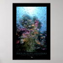 Suche nach coral reef poster Fish