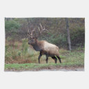 Suche nach stier geschirr tücher Küchentücher