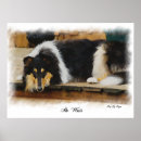 Suche nach collie kunst poster Haustiere