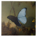 Suche nach martin untersetzer Landschaft