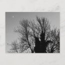 Suche nach sonstiges postkarten Natur